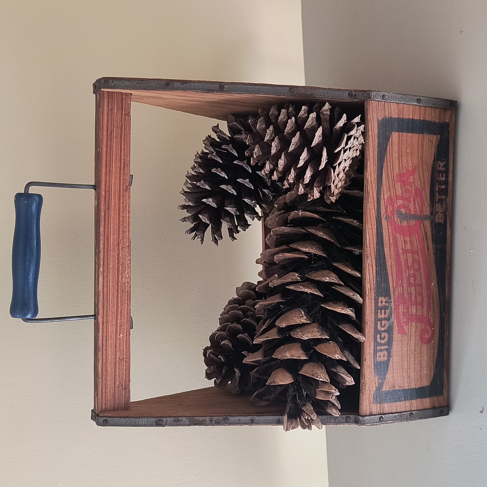 Vintage Wooden Pepsi Carrier - Picture 15 of 16